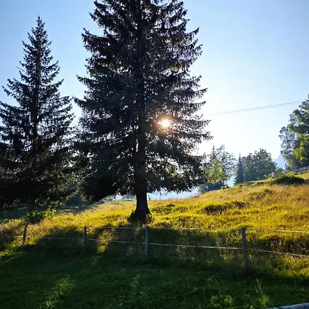 Triglav Prázdninový dům *