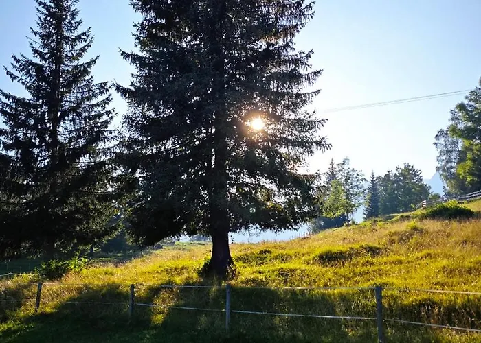 Triglav Casa vacanze *